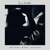 Dalink Mane Perpus - Single