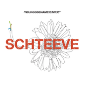 Schteeve