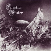 Forever Winter