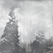 alone in a quiet place