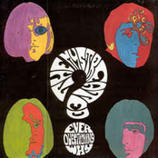 Ever Questioning Why