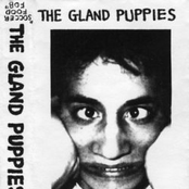 The Gland Puppies