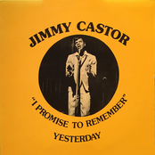 I Promise to Remember Yesterday