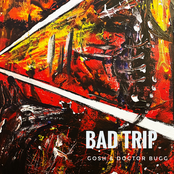 Bad Trip