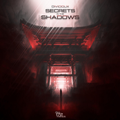 Secrets In The Shadows