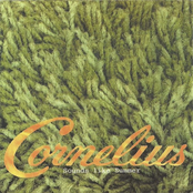 Say Anything by Cornelius