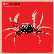 split Daitro/Sed Non Satiata