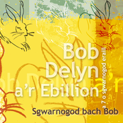 Sgwarnogod Bach Bob