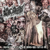 The Euphoric Stench of Unyielding Human Rot