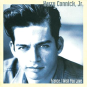 One Last Pitch by Harry Connick, Jr.