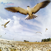 Masayoshi Takanaka: Seychelles