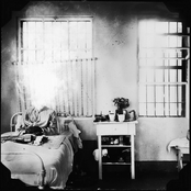 Razoreater/Iced Out Split