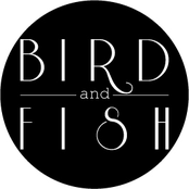 bird & fish