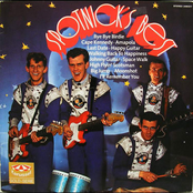 Johnny Guitar by The Spotnicks