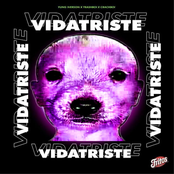 VIDATRISTE