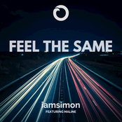 Feel the Same (feat. Maline) - Single