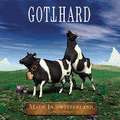 Immigrant Song by Gotthard