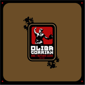 Bake Faltsuari Gerra