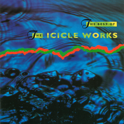 Evangeline by The Icicle Works