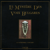 A Cathedral Concert (Live)