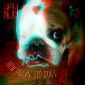 New Tricks, Old Dogs