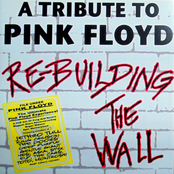 Billy Sherwood: Re-Building The Wall - A Tribute To Pink Floyd