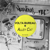 Alley Cat by Volta Bureau