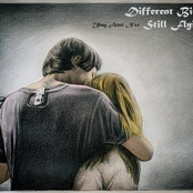 Different Birds, Still Flying