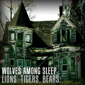 Lions, Tigers, Bears