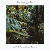 Different Worlds / Shadows