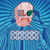 Alicia Groove