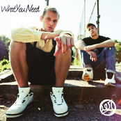 Aer: What You Need EP