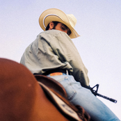 Wild Horses In The End Of The World