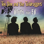 Have To Let You Go by Too Slim And The Taildraggers