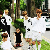 헤일로 (halo)