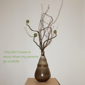 i shouldn't have to worry when my parents go outside