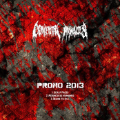 Promo 2013