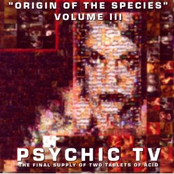 Really Real by Psychic Tv