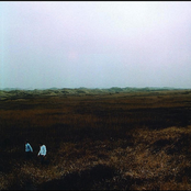 Narcotic Wide Screen Vista - Rework 2011