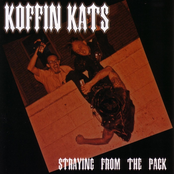 Crack Rock by Koffin Kats