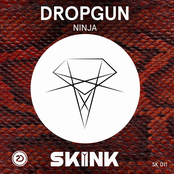 Ninja