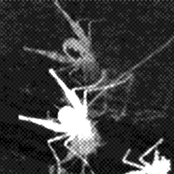 Damp Muci Interchange