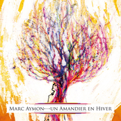 Un Amandier En Hiver by Marc Aymon