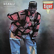 Deadly by Tiger