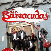 die barracudas