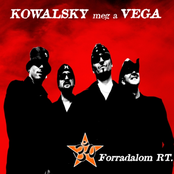Forradalom Rt