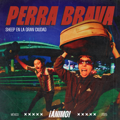 Sheep en la Gran Ciudad