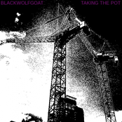 Taking the Pot
