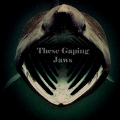 Discography - Volume Two