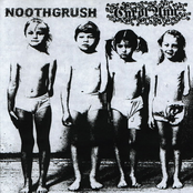 Noothgrush / Carol Ann